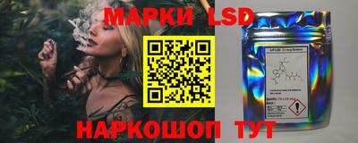 индика Сланцы