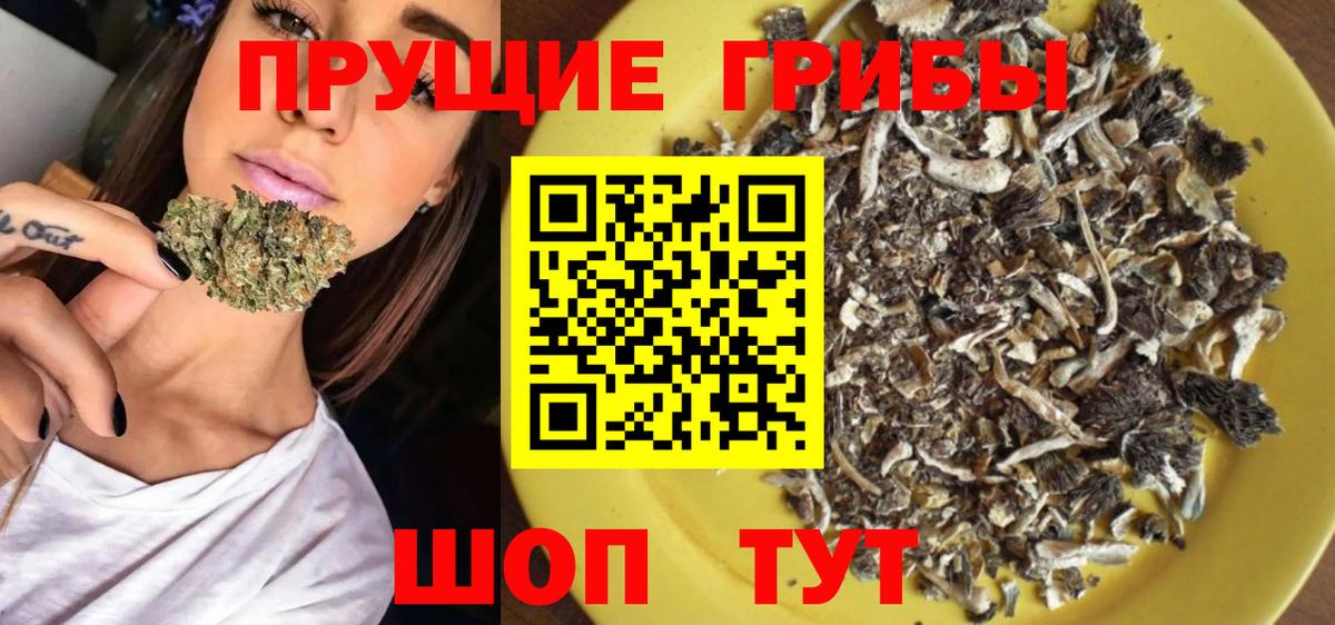 Галлюциногенные грибы мицелий Полевской